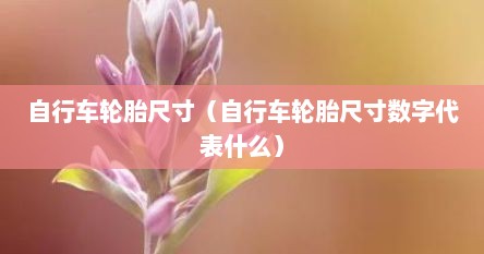 自行车轮胎尺寸（自行车轮胎尺寸数字代表什么）