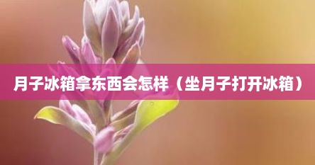 月子冰箱拿东西会怎样（坐月子打开冰箱）