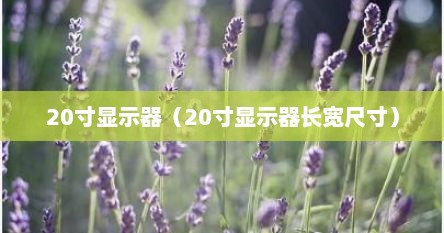 20寸显示器（20寸显示器长宽尺寸）