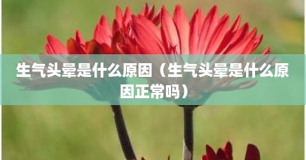 生气头晕是什么原因（生气头晕是什么原因正常吗）