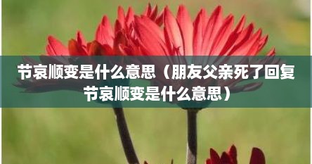 节哀顺变是什么意思（朋友父亲死了回复节哀顺变是什么意思）
