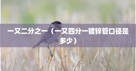 一又二分之一（一又四分一镀锌管口径是多少）