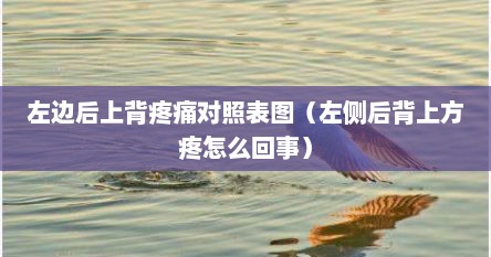左边后上背疼痛对照表图（左侧后背上方疼怎么回事）
