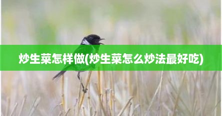 炒生菜怎样做(炒生菜怎么炒法最好吃)