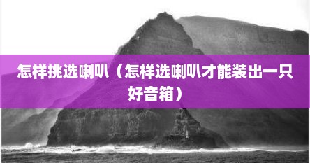 怎样挑选喇叭（怎样选喇叭才能装出一只好音箱）