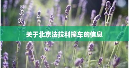 关于北京法拉利撞车的信息