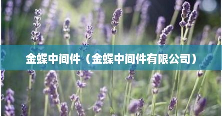 金蝶中间件（金蝶中间件有限公司）