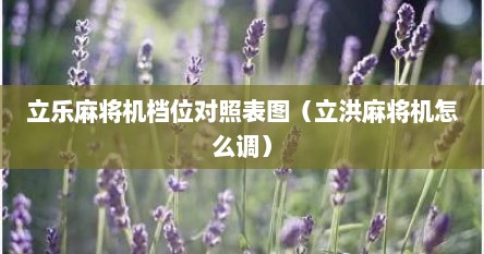 立乐麻将机档位对照表图（立洪麻将机怎么调）