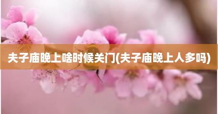 夫子庙晚上啥时候关门(夫子庙晚上人多吗)