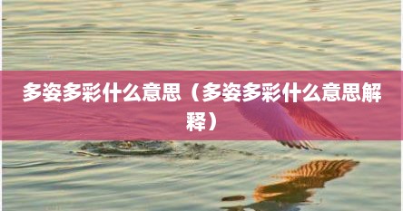 多姿多彩什么意思（多姿多彩什么意思解释）