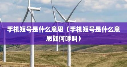 手机短号是什么意思（手机短号是什么意思如何呼叫）