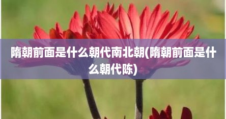 隋朝前面是什么朝代南北朝(隋朝前面是什么朝代陈)