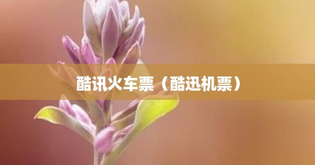 酷讯火车票（酷迅机票）