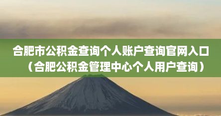 合肥市公积金查询个人账户查询官网入口（合肥公积金管理中心个人用户查询）