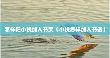 怎样把小说加入书架（小说怎样加入书签）