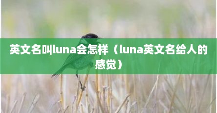 英文名叫luna会怎样（luna英文名给人的感觉）