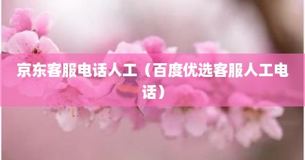 京东客服电话人工（百度优选客服人工电话）