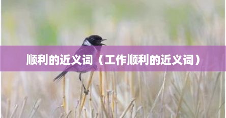 顺利的近义词（工作顺利的近义词）