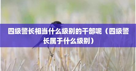 四级警长相当什么级别的干部呢（四级警长属于什么级别）