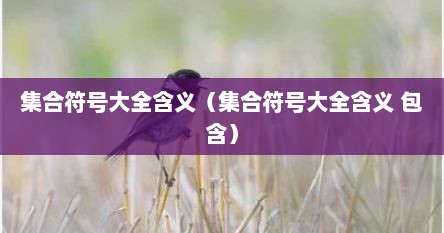 集合符号大全含义（集合符号大全含义 包含）