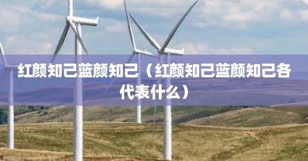 红颜知己蓝颜知己（红颜知己蓝颜知己各代表什么）