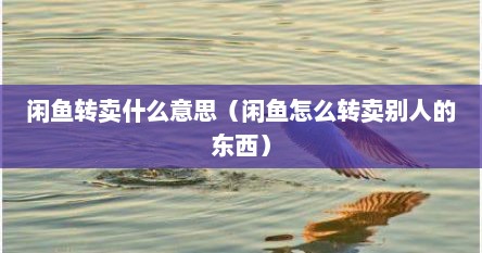 闲鱼转卖什么意思（闲鱼怎么转卖别人的东西）