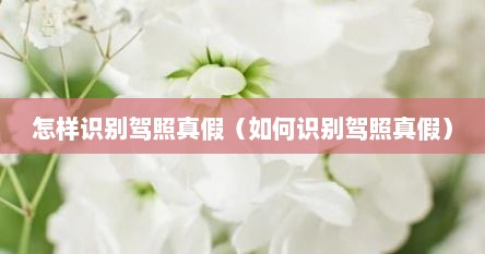怎样识别驾照真假（如何识别驾照真假）