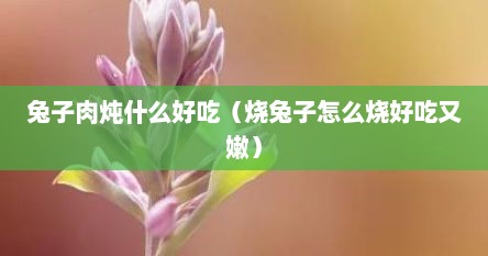 兔子肉炖什么好吃（烧兔子怎么烧好吃又嫩）