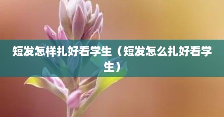 短发怎样扎好看学生（短发怎么扎好看学生）