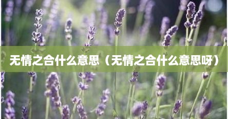无情之合什么意思（无情之合什么意思呀）