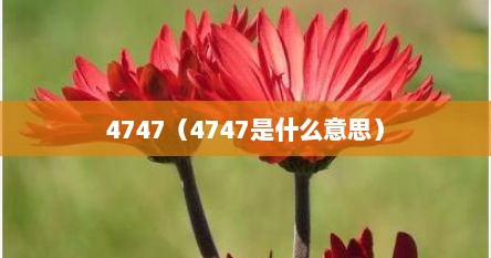 4747（4747是什么意思）