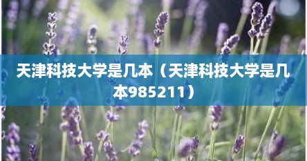 天津科技大学是几本（天津科技大学是几本985211）