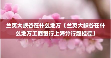 兰英大峡谷在什么地方（兰英大峡谷在什么地方工商银行上海分行赵桂德）