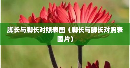 脚长与脚长对照表图（脚长与脚长对照表图片）