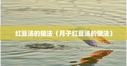 红豆汤的做法（月子红豆汤的做法）