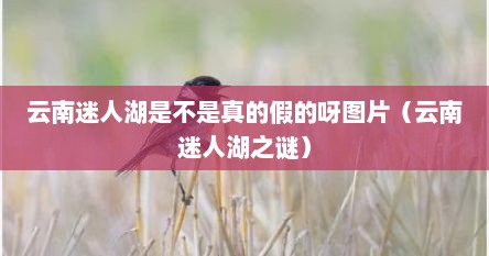 云南迷人湖是不是真的假的呀图片（云南迷人湖之谜）