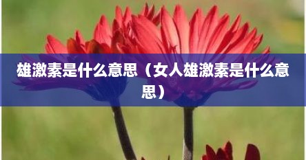 雄激素是什么意思（女人雄激素是什么意思）