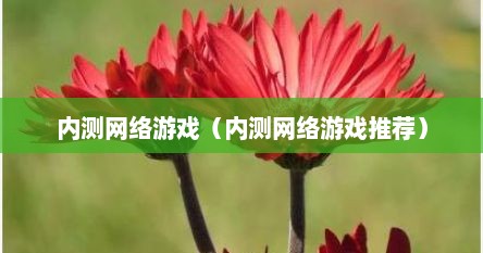 内测网络游戏（内测网络游戏推荐）