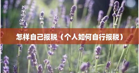 怎样自己报税（个人如何自行报税）