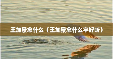 王加景念什么（王加景念什么字好听）