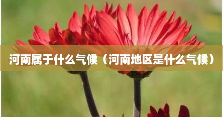 河南属于什么气候（河南地区是什么气候）