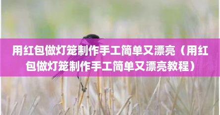 用红包做灯笼制作手工简单文漂亮（用红包做灯笼制作手工简单文漂亮教程）