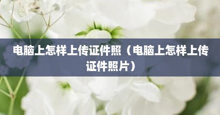 电脑上怎样上传证件照（电脑上怎样上传证件照片）