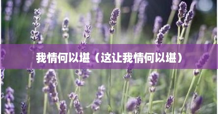 我情何以堪（这让我情何以堪）