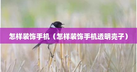 怎样装饰手机（怎样装饰手机透明壳子）