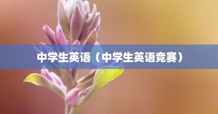 中学生英语（中学生英语竞赛）