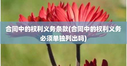 合同中的权利义务条款(合同中的权利义务必须单独列出吗)