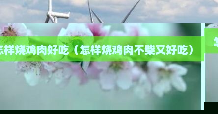 怎样烧鸡肉好吃（怎样烧鸡肉不柴又好吃）