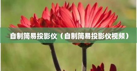 自制简易投影仪（自制简易投影仪视频）