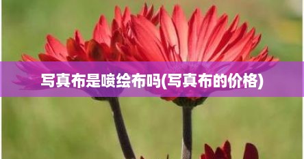 写真布是喷绘布吗(写真布的价格)